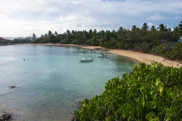 Isla de Santo Aleixo - Pernambuco, Brasil — Foto de Stock