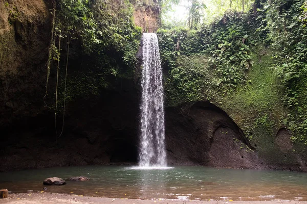 Güzel Sekumpul Şelalesi - Bali, Endonezya