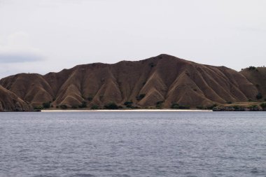 Labuan Bajo, Flores Endonezya adasında Tanel