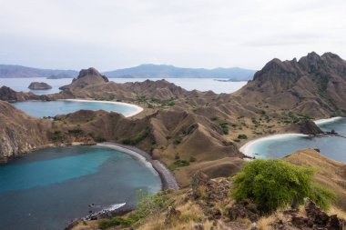 Labuan Bajo, Flores Endonezya adasında Tanel