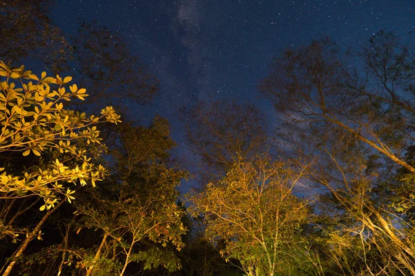 Cielo nocturno en Chapada dos Veadeiros, Goias, Brasil — Foto de Stock
