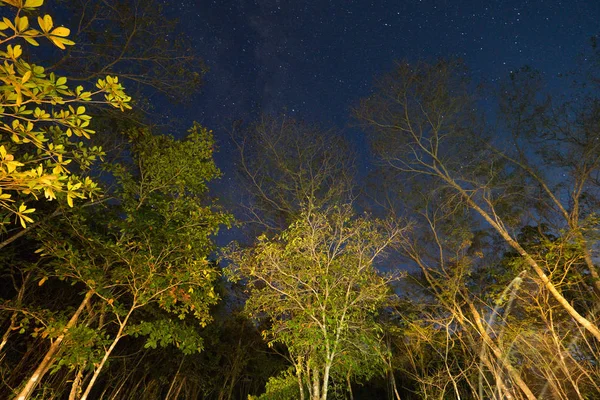 Cielo nocturno en Chapada dos Veadeiros, Goias, Brasil — Foto de Stock