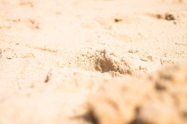 Kum Praia do Forte, Bahia, Brezilya