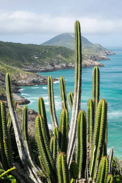 Kystlinie Arraial do Cabo, Rio de Janeiro, Brasilien - Stock-foto