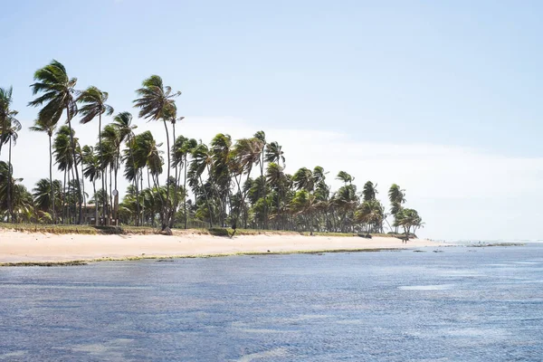 Praia do Forte à Bahia, Brésil — Photo