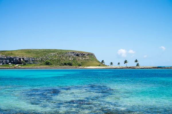 巴西巴伊亚以南的 Abrolhos 群岛 — 图库照片