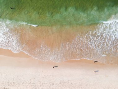 Hava dron Leblon plaj manzarası, Rio de Janeiro