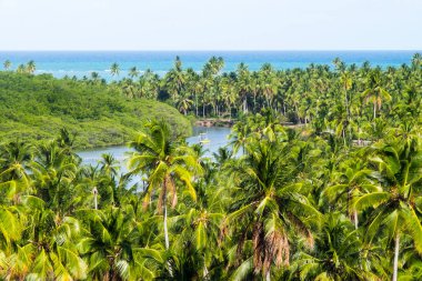 Beautiful day in Sao Miguel dos Milagres, Alagoas