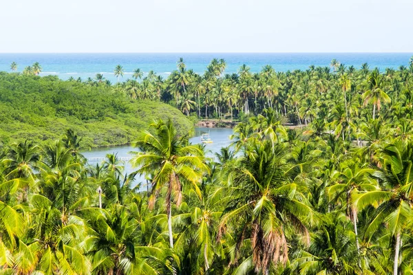 Beautiful day in Sao Miguel dos Milagres, Alagoas — Stock Photo, Image