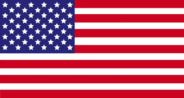 Vereinigte Staaten von Amerika Flagge, USA Flagge, Amerika Flagge — Stockvektor