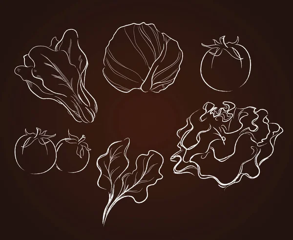Vegetables drawing vector illustration — Stock Vector