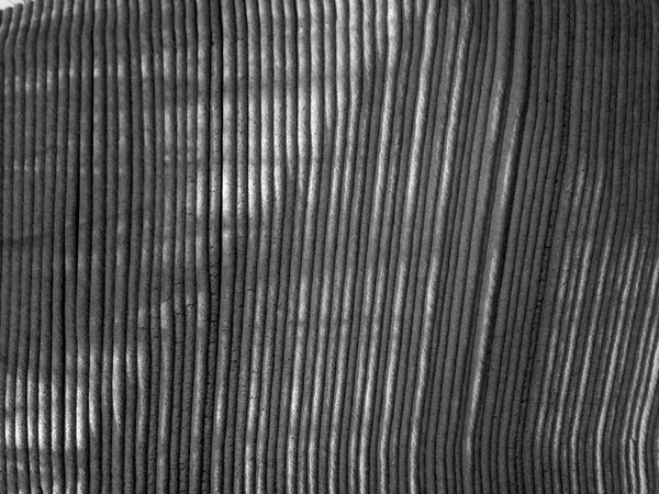 Primer plano línea abstracta de fondo de arena — Foto de Stock