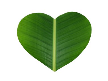 yeşil muz yaprak bir kalp şeklinde 
