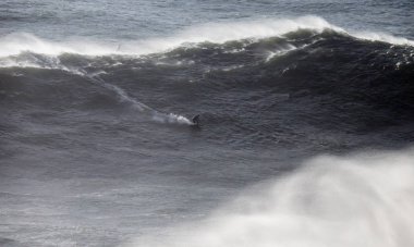 Kuzey Sahilinde Büyük Dalgalarda Sörf, Nazare, Portekiz.
