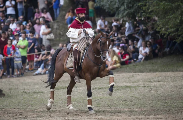 Agosto 2019 Nobre Horse Show Recreação Histórica Chamamento Durante Evento — Fotografia de Stock