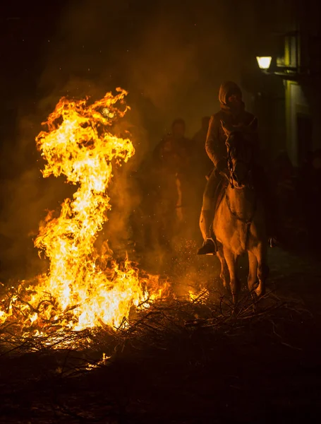 Gennaio 2018 Festival Las Luminarias Avila Spagna Cavalli Incrociano Fuoco — Foto Stock