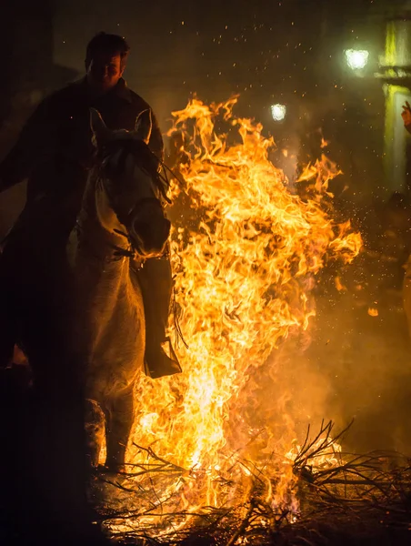 Enero 2018 Festival Las Luminarias Ávila España Caballos Cruzan Fuego — Foto de Stock