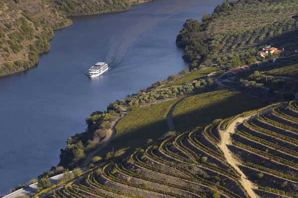 Unesco Dünya Mirası, Douro Nehri 'nde bir gemi gezisi, Vila Nova de Foz Coa, Portekiz' deki Vineyards Vadisi..