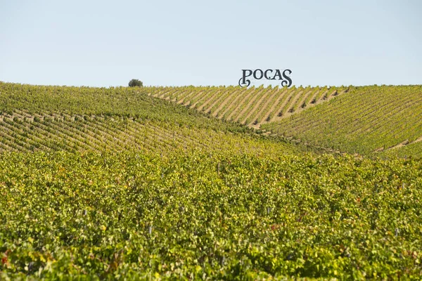 9 Ekim 2019 - Portekiz 'in Vila Nova de Foz Coa şehrinde, Douro Vadisi' nde sonsuz güzel 