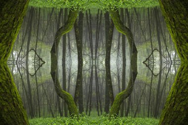 Psychedelic Rain Forest, Symmetrical Kaleidoscope Abstract Background. clipart