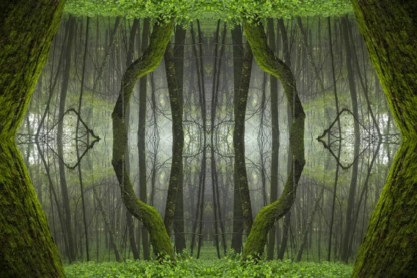 Psychedelischer Regenwald Symmetrisches Kaleidoskop Abstrakter Hintergrund — Stockfoto