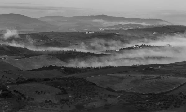 Portekiz 'deki Vila Nova de Foz Coa' da Unesco Dünya Mirası, Douro Vadisi Üzüm bağları ve Badem Ağacı Tarlaları.