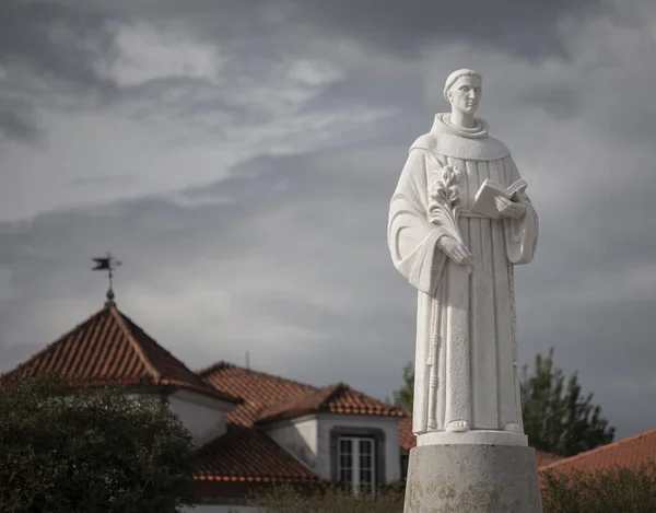 Исторические Белые Статуи Святилища Самейро Браге Минхо Португалия — стоковое фото