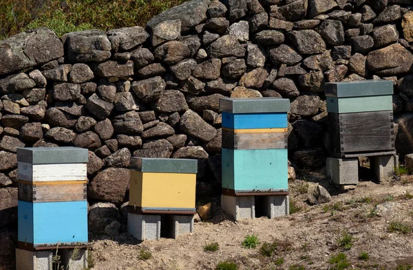 Wooden Beehive Wild Apiculture Field Geres National Park Minho Portugal — стоковое фото