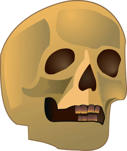 Ludzkie czaszki — Wektor stockowy