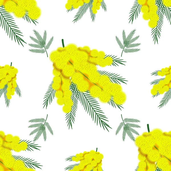 Şablon, Akasya gümüşü.