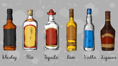 Alkol kümesi: viski, cin, tekila, ROM, votka, likör. Kroki tarzı vintage illüstrasyon.