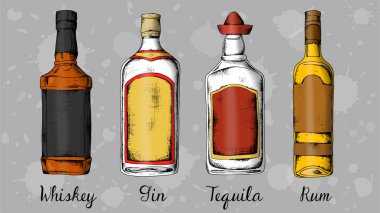 Alkol kümesi: viski, cin, tekila, ROM. Kroki tarzı vintage illüstrasyon.