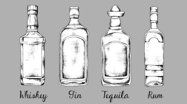 Alkol kümesi: viski, cin, tekila, ROM. Kroki tarzı vintage illüstrasyon.