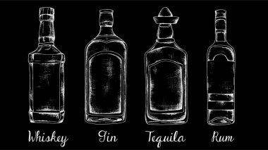 Alkol kümesi: viski, cin, tekila, ROM. Kroki tarzı vintage illüstrasyon.
