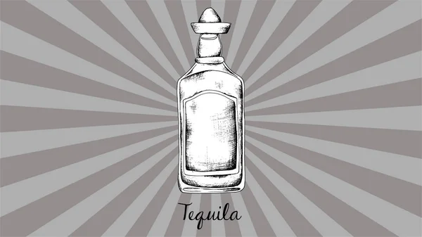 Vector mão desenhada ilustração de garrafa de tequila. Estilo vintage — Vetor de Stock