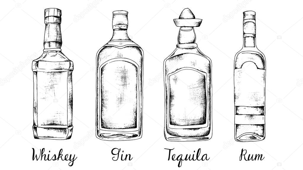 Alcohol set: whiskey, gin, tequila, rum. Sketch style vintage illustration.