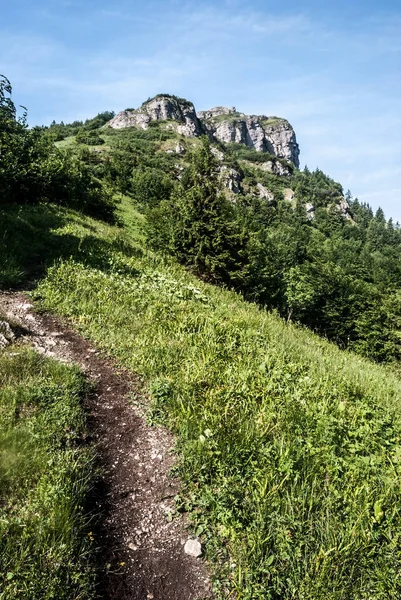 Klak hill Slovakya dağlarında Mala Fatra