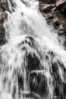 Polonya Beskid Slaski dağlarda Biala Wiselka nehrinde Kaskady Rodla şelale