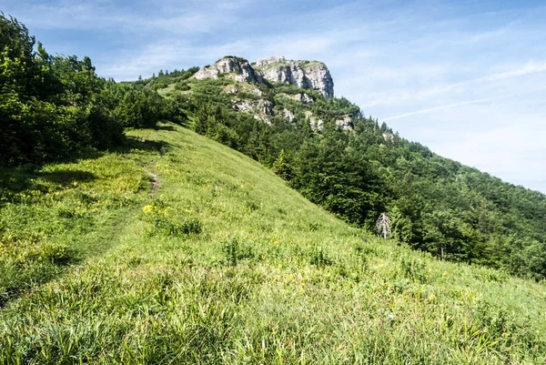 Klak hill Slovakya dağlarında Mala Fatra