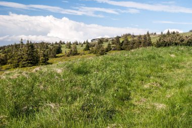 dağ çayır küçük ağaçlar, kayalar ve mavi gökyüzü bulutlu