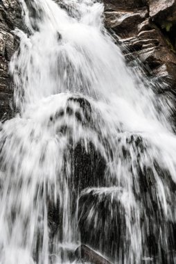 Polonya Beskid Slaski dağlarda Biala Wiselka nehrinde Kaskady Rodla şelale