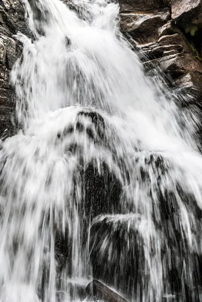 Polonya Beskid Slaski dağlarda Biala Wiselka nehrinde Kaskady Rodla şelale
