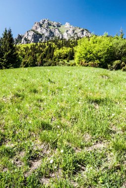 dağ çayır ağaçlar ve Velky Rozsutec tepe üzerinde bahar Mala Fatra dağlar