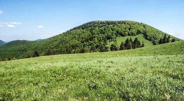 Colina de Osnica com prado de montanha abaixo e céu azul em Mala Fatra montanhas na Eslováquia — Fotografia de Stock