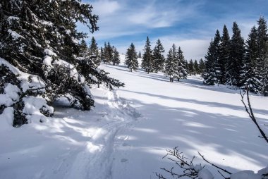 Kış dağ çayır kar ve izole ağaçları ile