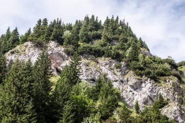 tepe dağ çayır, ağaçlar ve kalker kayalar