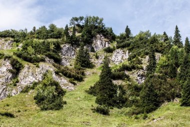 tepe dağ çayır, ağaçlar ve kalker kayalar