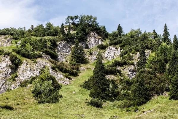 tepe dağ çayır, ağaçlar ve kalker kayalar