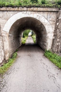 Altgeçit yol ve ağaç arka planda