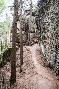 kumtaşı kayaların etrafında ile dar hiking trail